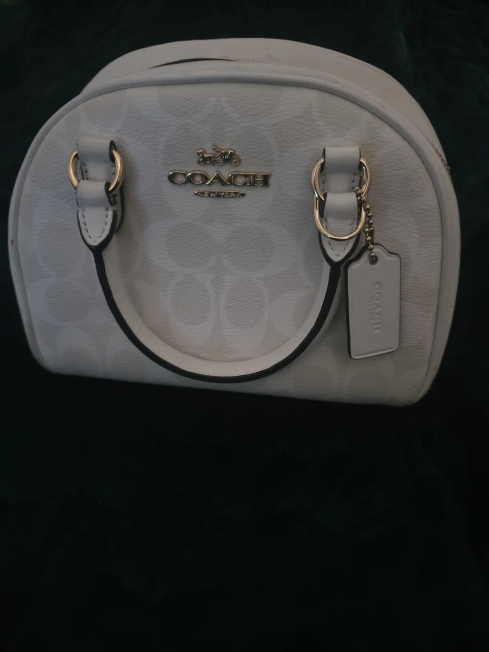 Coach Sydney Satchel Glaxier White Signature Dome Satchel Bag Purse
